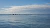 20200901_173759.jpg