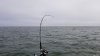 20201006_123605.jpg