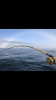 46B2902A-F397-4D25-ACD8-34BD48B79997.png