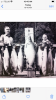 8E7AAC45-097D-428D-A050-E190E43ED5C6.png