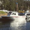 IMG_20201031_162234_579.jpg