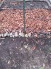 20201022_162150.jpg