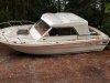 IMG-20201108-WA0000.jpg