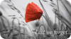 upload_2020-11-11_7-39-11.png