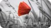 upload_2020-11-11_7-39-11.jpeg