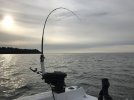 F1E6F077-7464-4BF8-98E7-34E93768B76E.jpeg