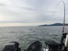 46685219-0282-4F39-988F-EA04CF816032.jpeg