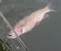 20201129_123402.jpg