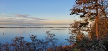 20201204_082824.jpg