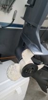 20201210_155627.jpg