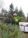 20201220_112306.jpg