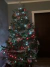 20201222_165343.jpg