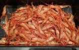 20201228_163439.jpg