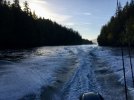 Haida Gwaii 2019 (13).JPEG