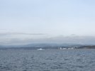 D293909B-9F81-4FAA-97A3-AF99AD7F533C.jpeg