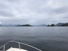07F0A5AD-2464-4562-856C-A5CB165ED225.jpeg