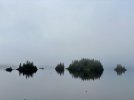 IMG_0009.jpg