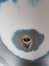 Ducer 1.jpg