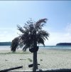 B2C4C417-85D4-4B03-964C-F3609440D3C8.jpeg