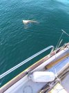 IMG_20210405_101910278.jpg