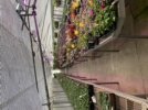 1226EEA1-05EB-4201-8B77-E57298E62506.jpeg