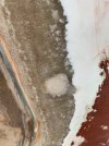 A0A01012-56A8-4E12-9C07-11CD03041D44.jpeg