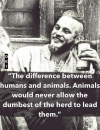 1618671086432.png