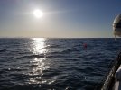 20210417_075935.jpg