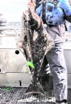 IMG_20210423_111548197~3.jpg