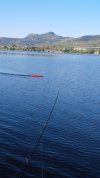 IMG_20210514_071235.jpg