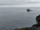 20210613_194241.jpg