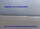Illegitimi_non_carborundum_el_playa.png