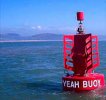 yeah buoy.jpg