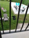 IMG_20210628_085528.jpg