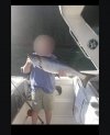 91727EFA-BD82-438D-8E4B-FACDCFBB5EDD.jpeg