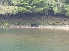 20210713_095524.jpg