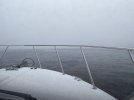 IMG_4591.jpg