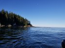 20210728_081019.jpg