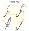 trilene-knot.jpg