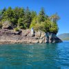 IMG_20210731_235541_859.jpg