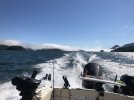 65E9A338-B15F-47F3-9821-E30878799E9E.jpeg