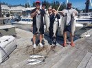 toay fish.jpg