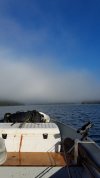 20210804_074944.jpg