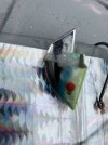 8D341CF9-BDCE-45C3-BD33-8277198F9C77.jpeg