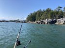 IMG_0554.JPG