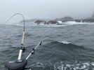 IMG_0480.JPG