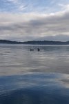 20210907_093602.jpg