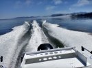 Resizer_16315935309060.jpg