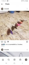 Screenshot_20210809-115942_Instagram.jpg
