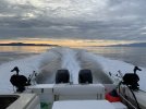 IMG_3820.jpeg